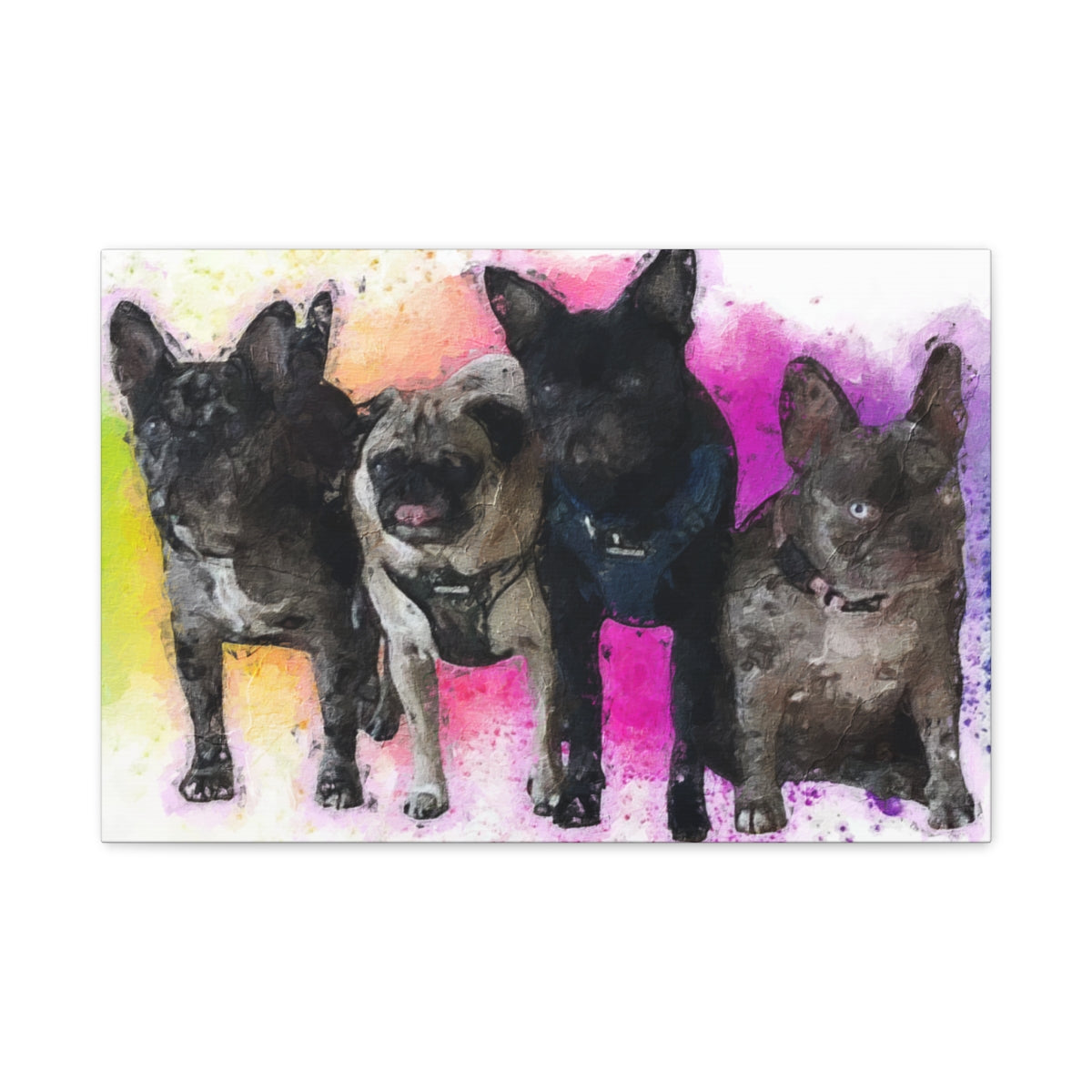 Canvas art of 4 dogs, pugs, french bulldogs