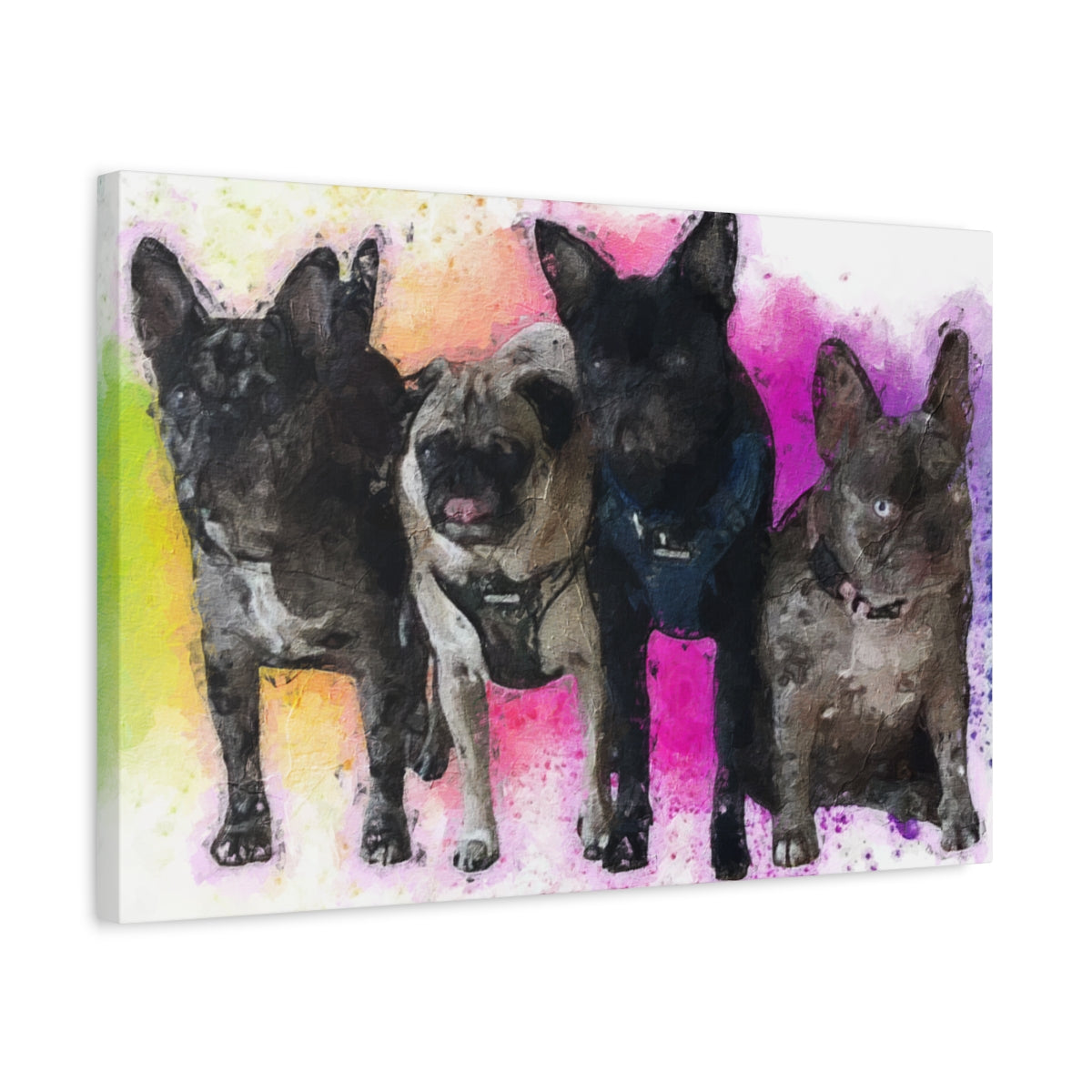 Canvas art of 4 dogs, pugs, french bulldogs